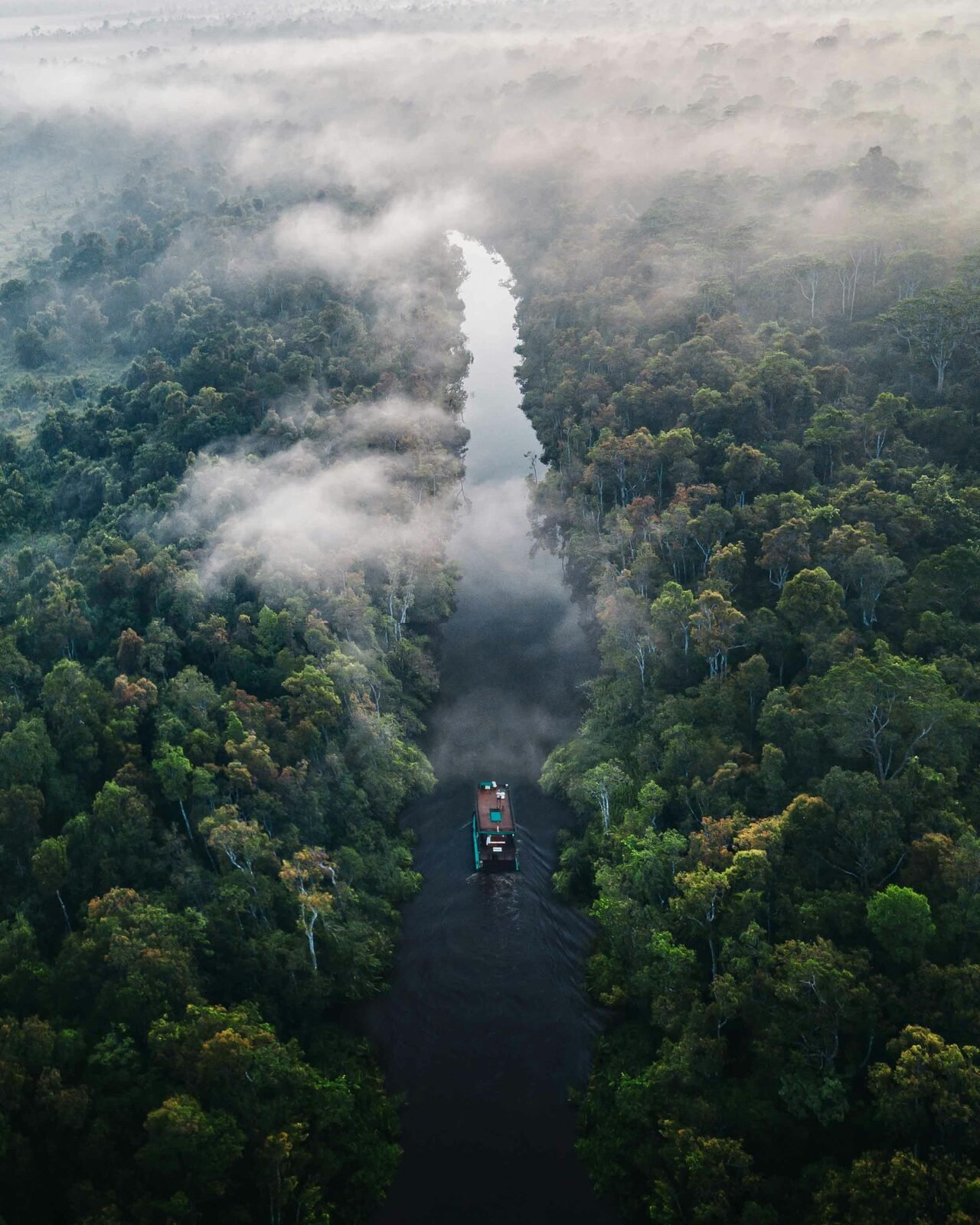 Floresta preservada cortada por rio