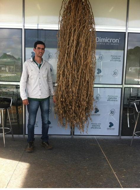 Registro da trajetória CropWatch - foto 10