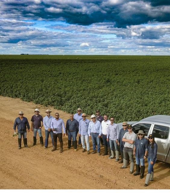 Registro da trajetória CropWatch - foto 86