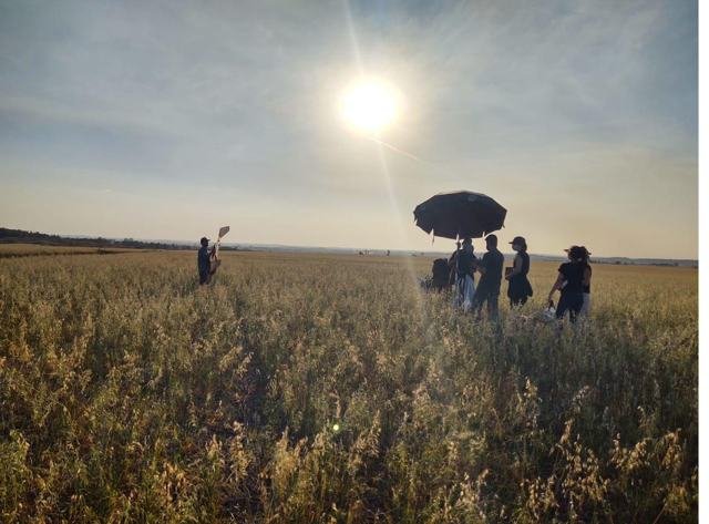 Registro da trajetória CropWatch - foto 95