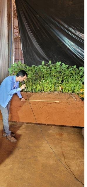Registro da trajetória CropWatch - foto 96