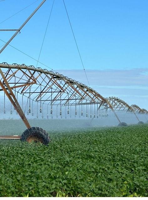 Registro da trajetória CropWatch - foto 107